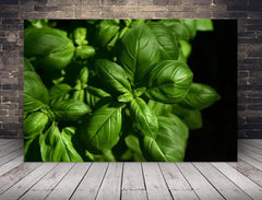 Deko-Leinwand Basilikum