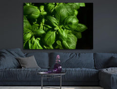 Deko-Leinwand Basilikum