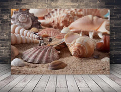 Deko-Leinwand Muscheln