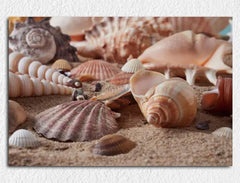 Deko-Leinwand Muscheln